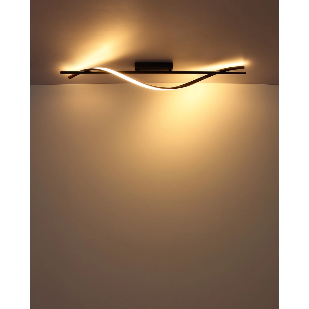 Design ceiling lamp Watkins Black Globo 9007371531745