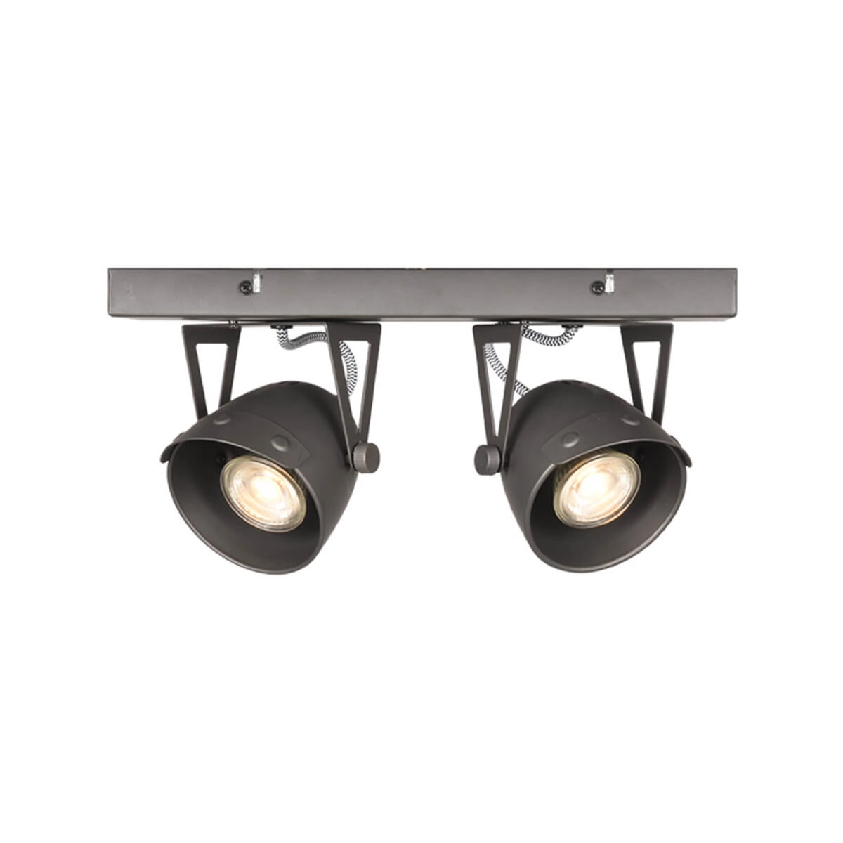 Industrial spot Cap led 2-light gray