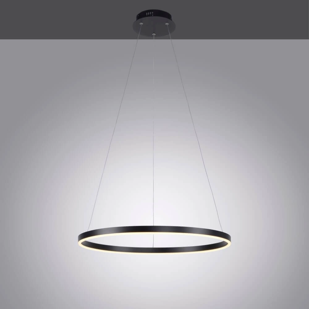 Led pendant light Ritus Ø 60cm Paul Neuhaus 4043689983956