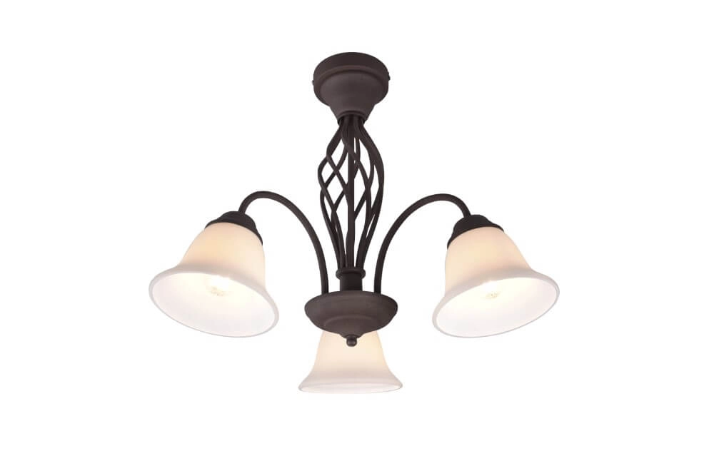 Ceiling lamp Rustica Trio 4017807504699