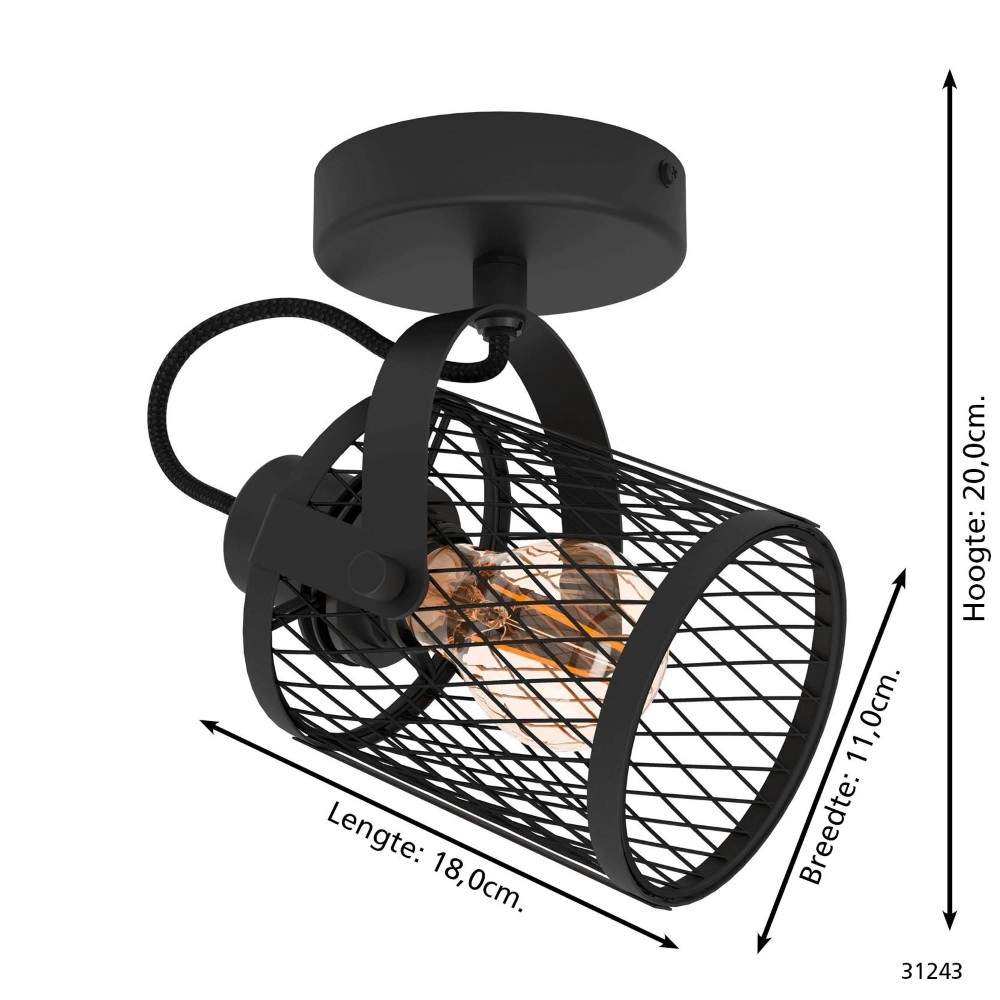 Ceiling lamp Dellow 1 black single Eglo 9002759312435