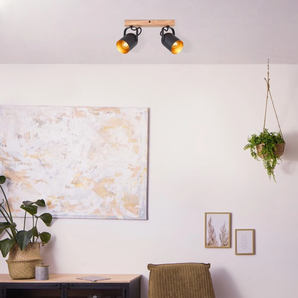 Ceiling lamp Tronte 2-light Brilliant 4004353411359