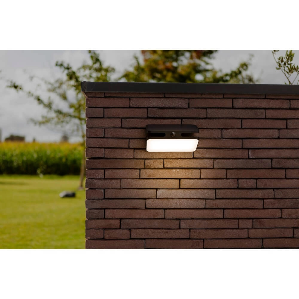 Outdoor Sensor Lamp Aero Solar powered Lutec 6939412016764