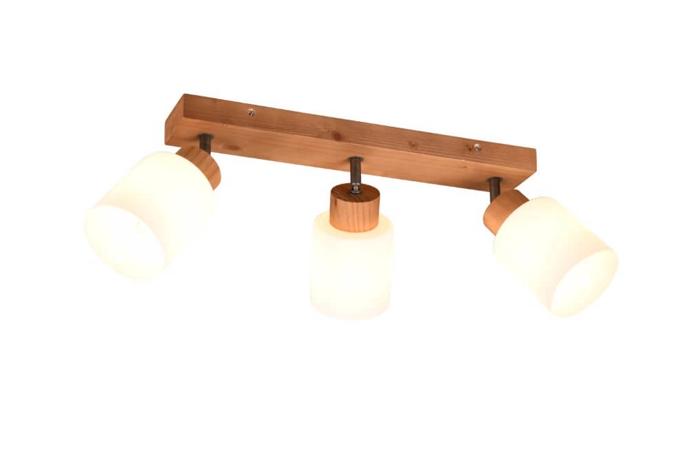 Rural ceiling spotlight Assam 3-light Trio 4017807539813
