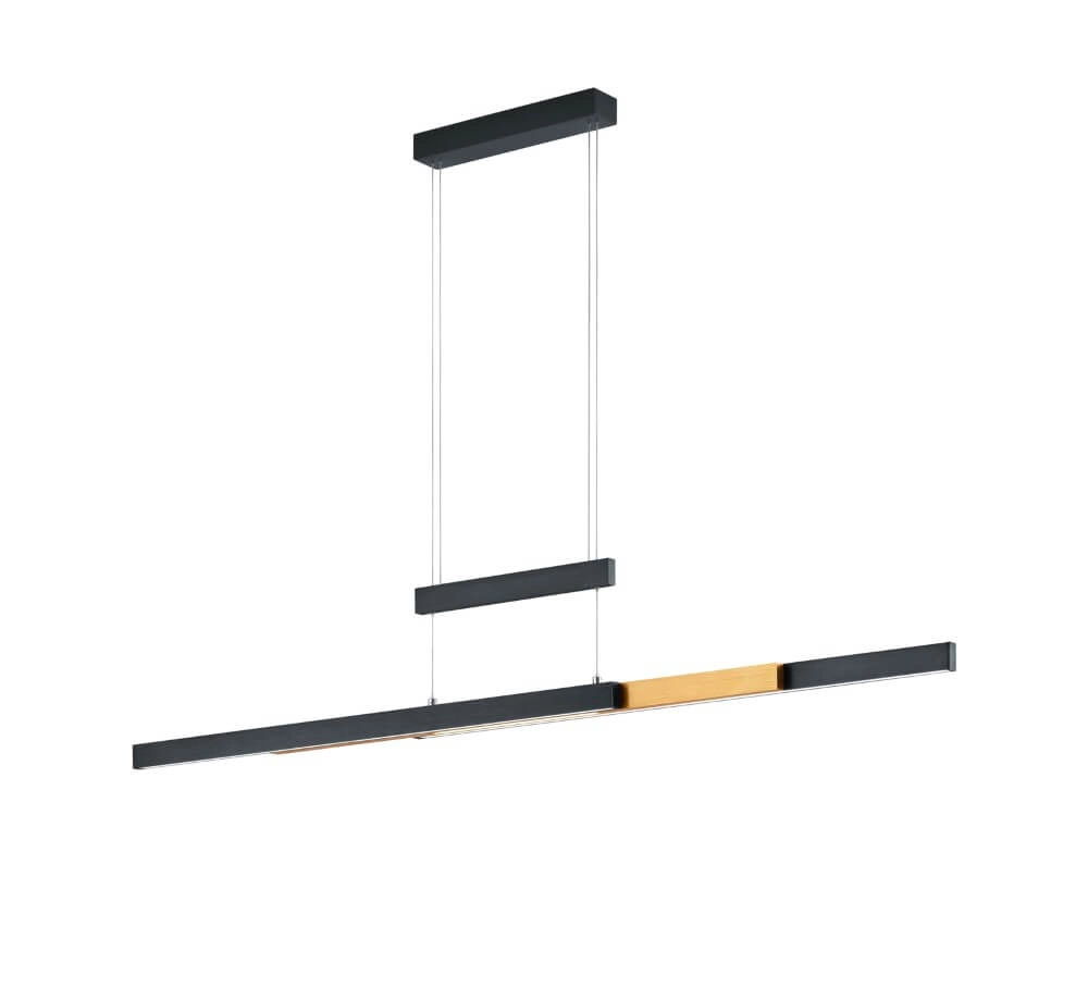 Hanging lamp Trajan black Trio 4017807504446