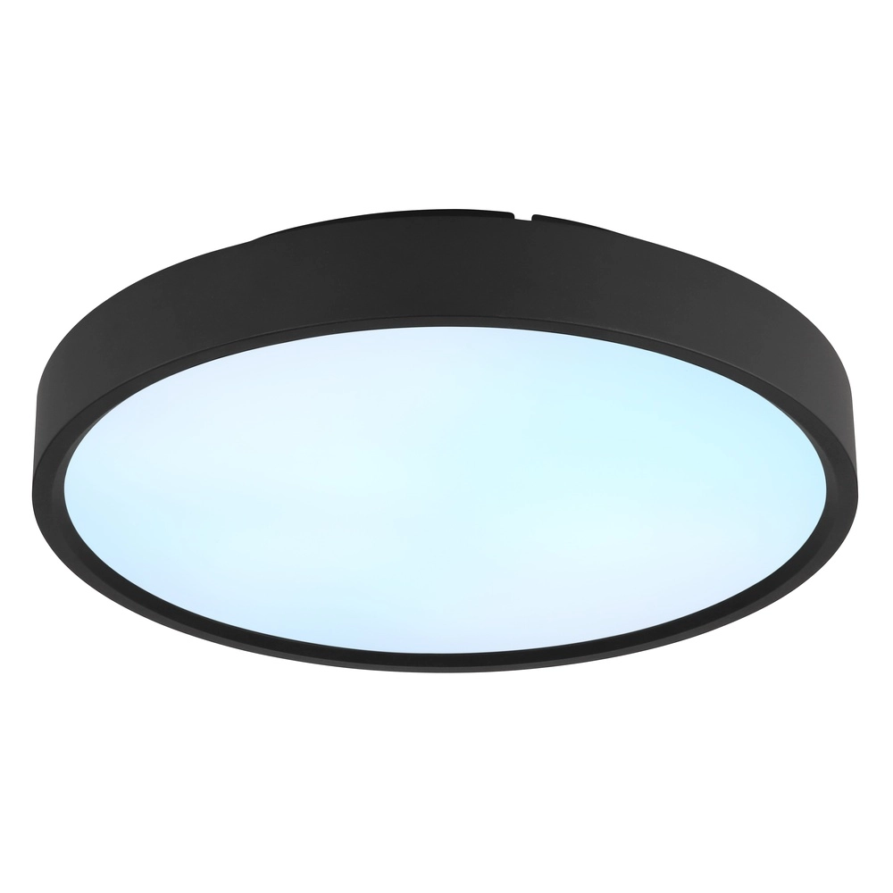 Ceiling light Jess Black Globo 9007371592470