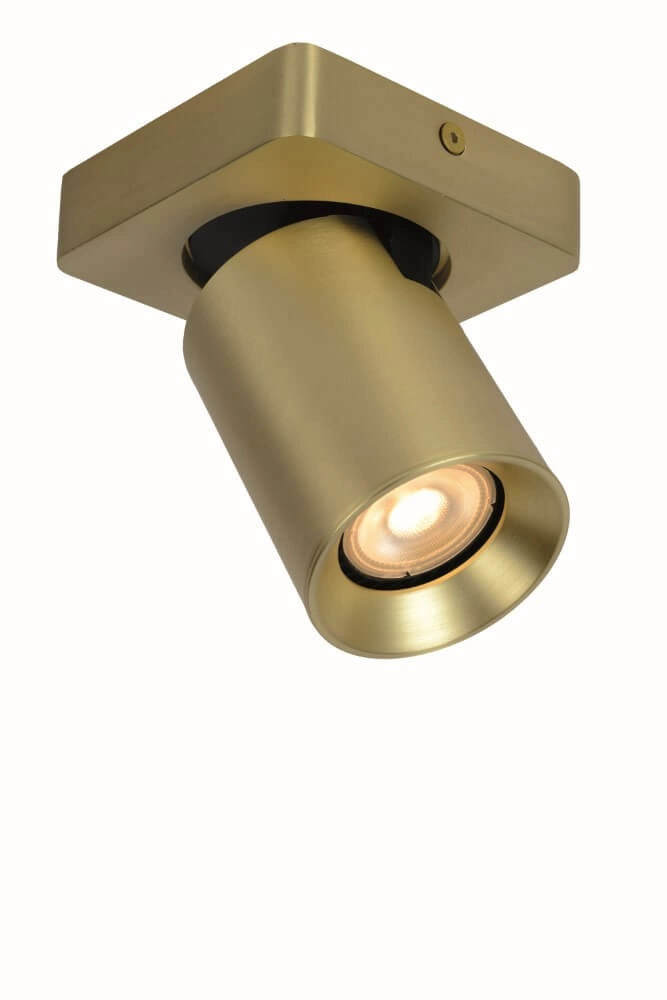 Directional surface-mounted spotlight Megano gold