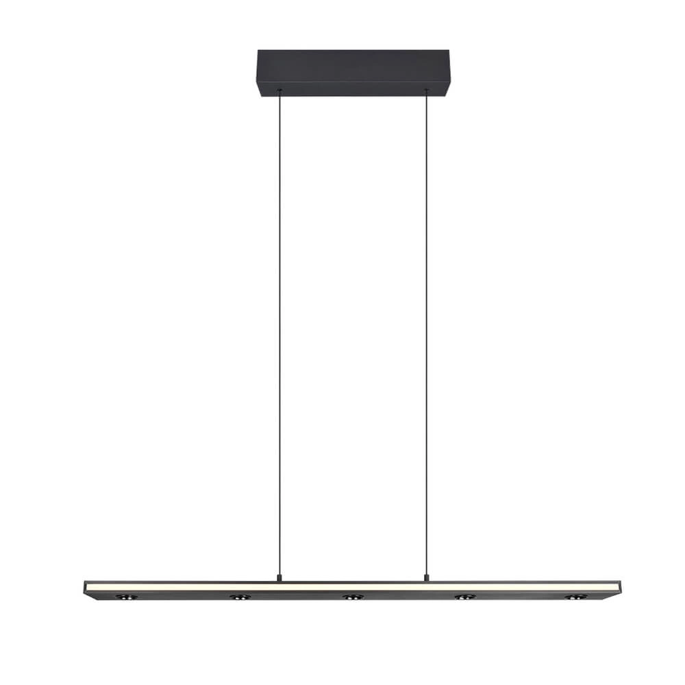 Design pendant lamp Graham black Trio 4017807642919