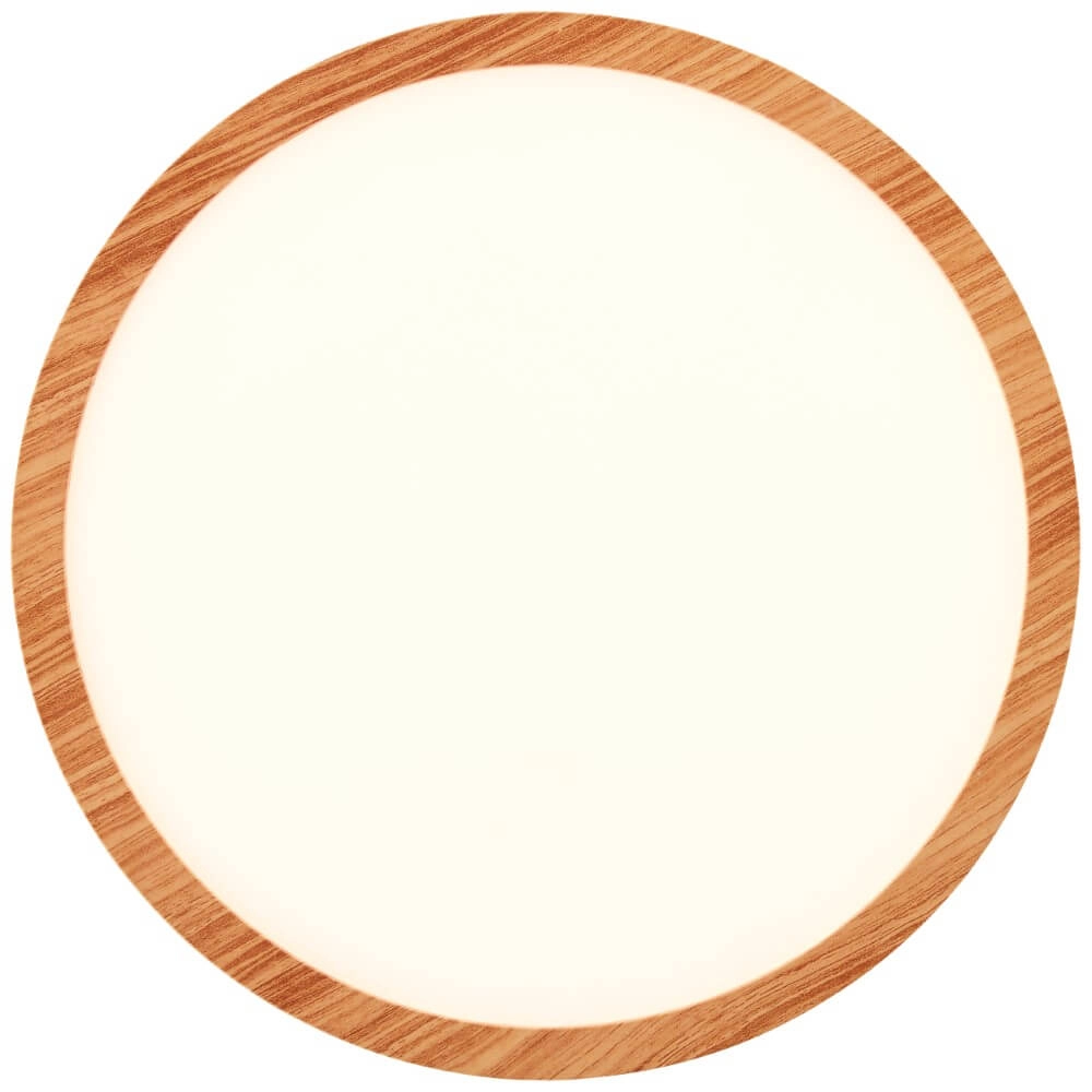 Ceiling lamp Tuco FSC quality mark Brilliant 4004353441295