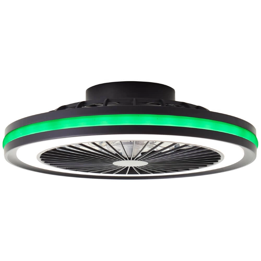 Ceiling fan Palmero with RGB function Brilliant 4004353425189
