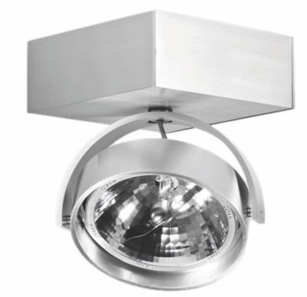 Single surface mounted spot Dutchess