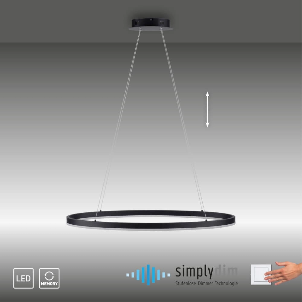 Anthracite pendant lamp Titus Ø 80cm Paul Neuhaus 4012248375211