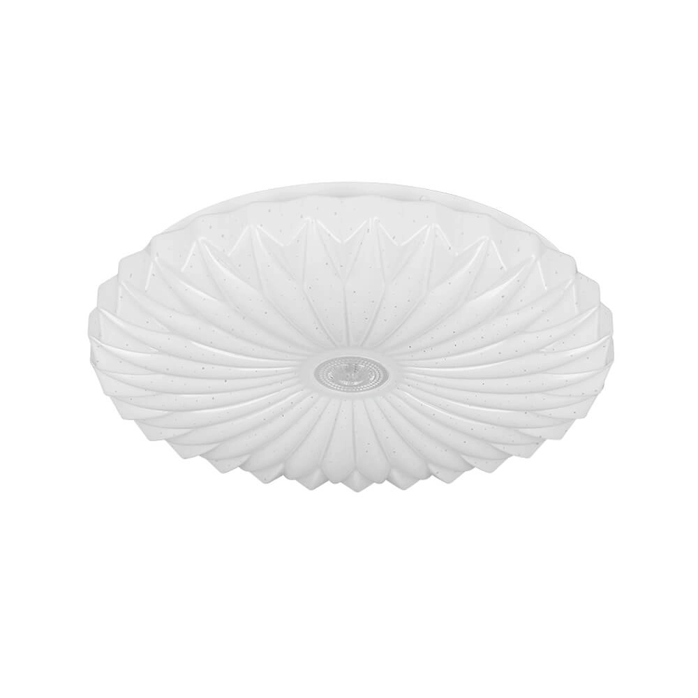Ceiling light Ataris with star effect Trio 4017807640519