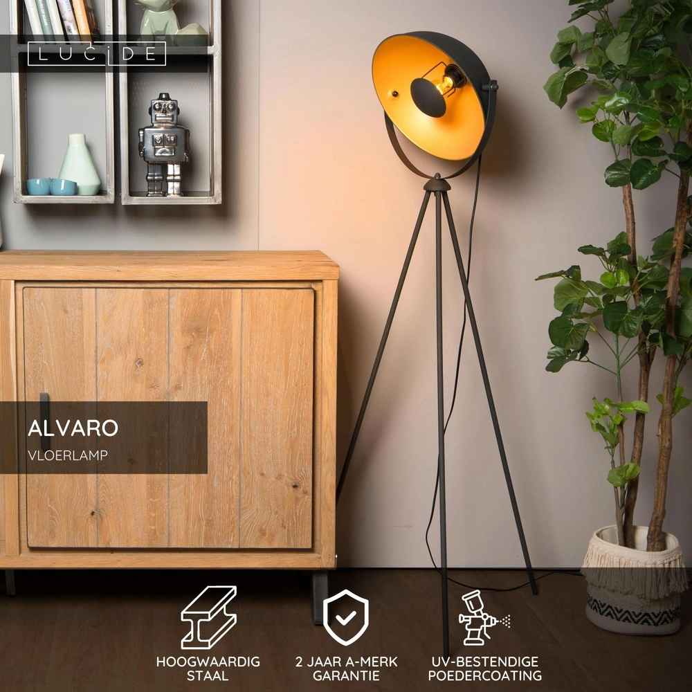 Industrial floor lamp Alvaro Black Lucide 5411212051202