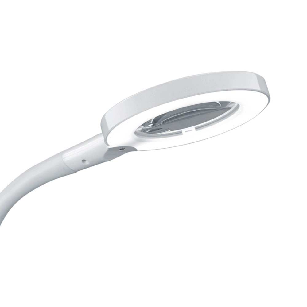 LED desk lamp Lupo white Trio 4017807291438