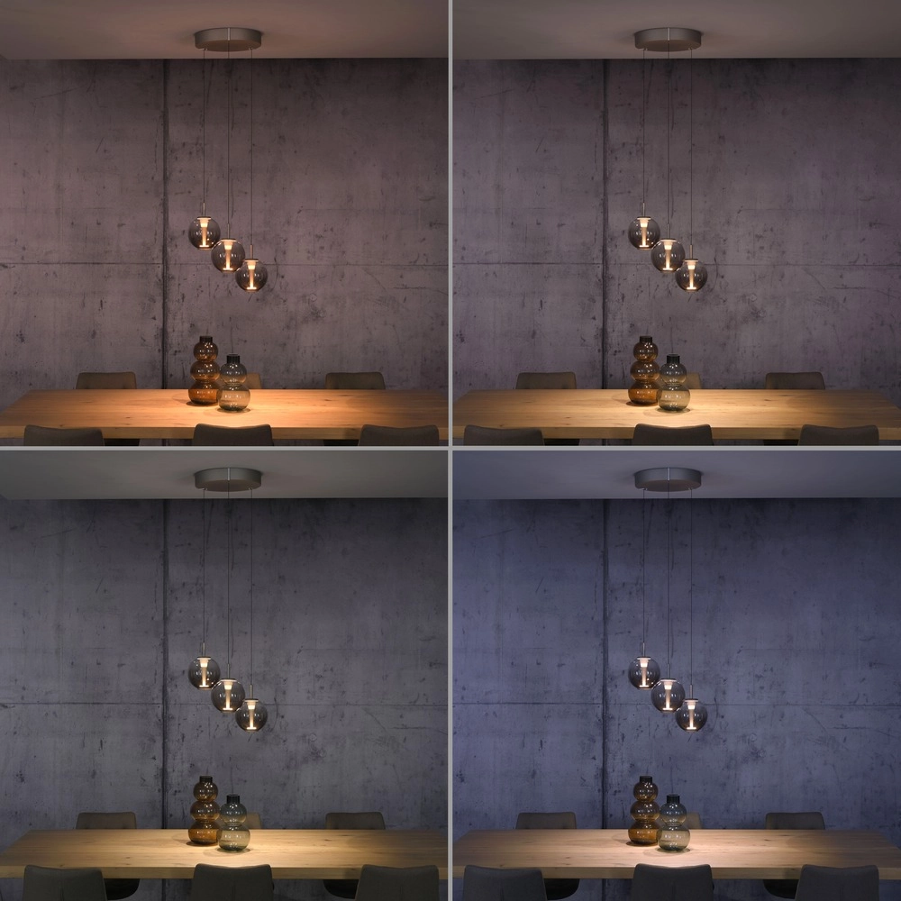 Vide pendant lamp Pure E-Infinty Bronce with amber glass Paul Neuhaus 4012248398166