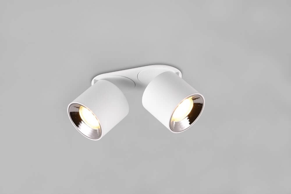 Ceiling light Guayana 2-light white Trio 4017807573954