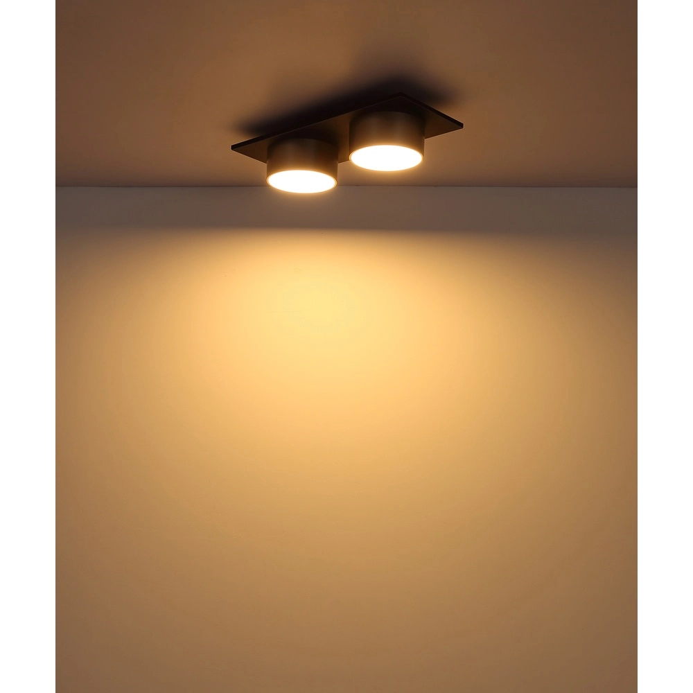 2-light ceiling lamp Raymond black with champagne Globo 9007371522873