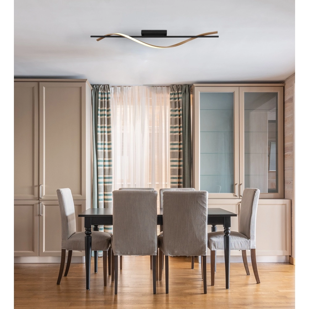 Design ceiling lamp Watkins Black Globo 9007371531745