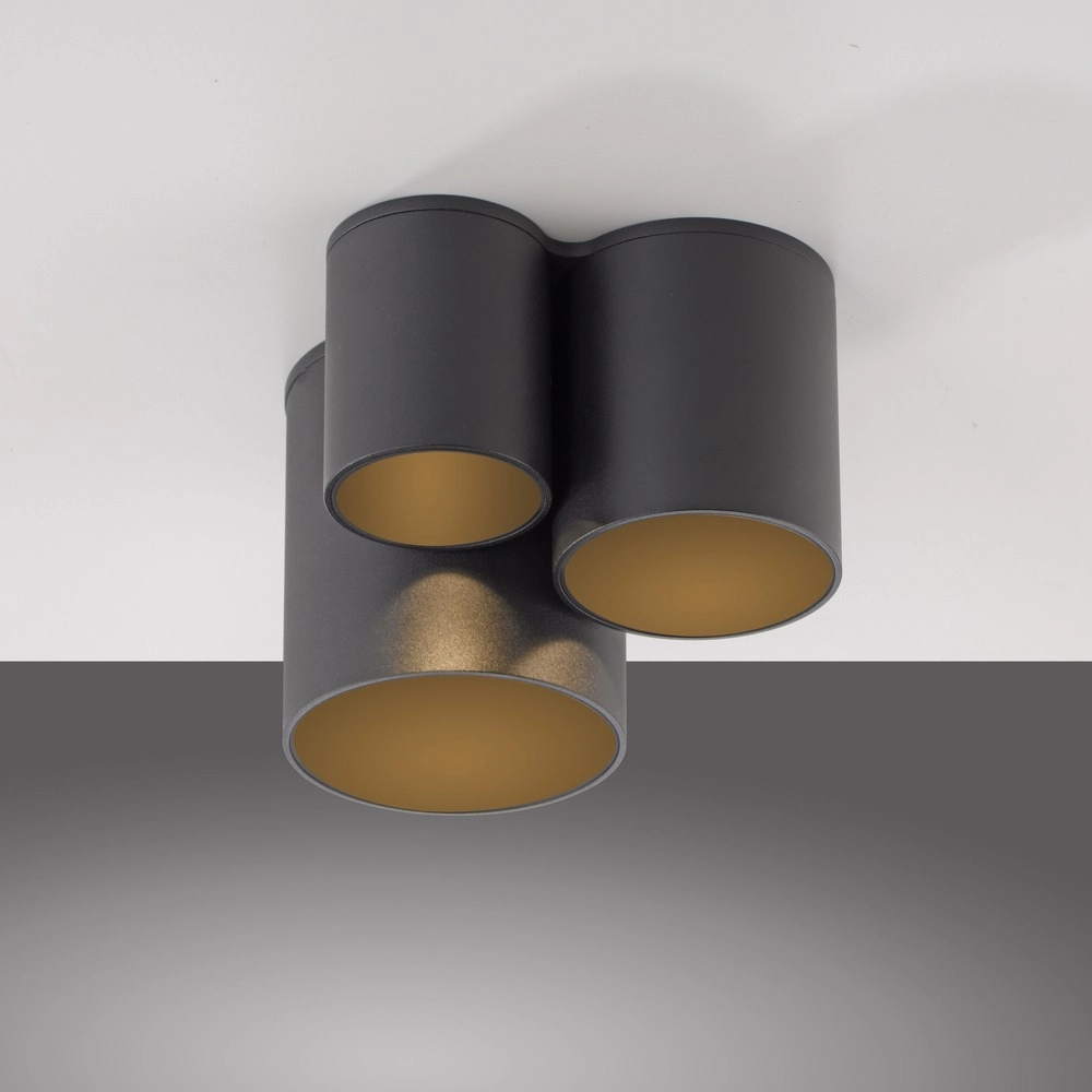 3L ceiling light Pure Point black pearl Paul Neuhaus 4012248395714