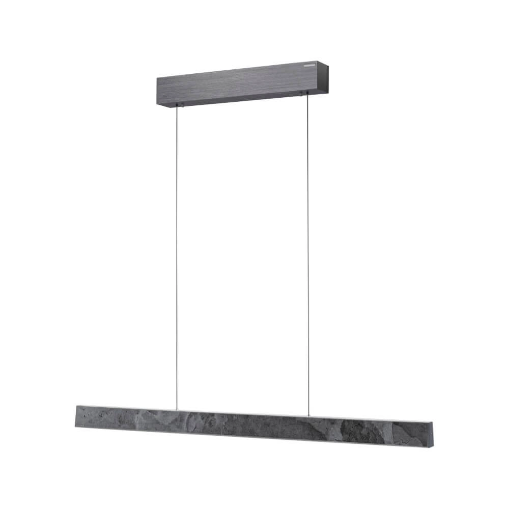 Design hanging lamp Pure E-Motion cartridge Paul Neuhaus 4012248386255
