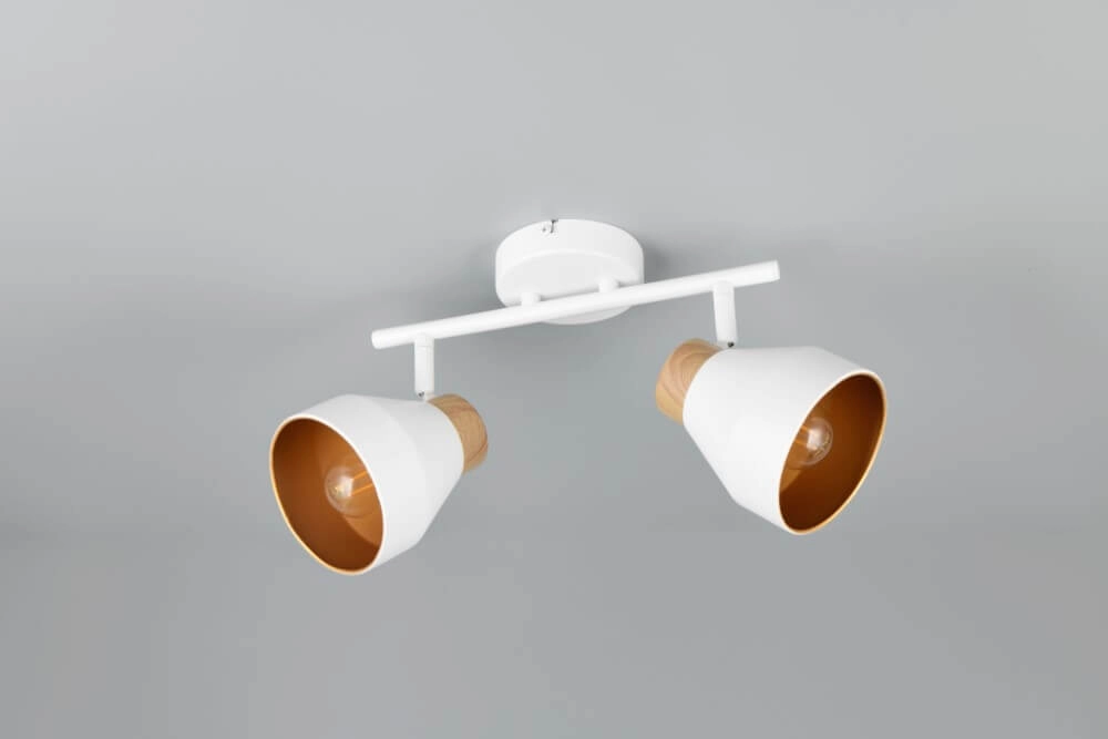 Design ceiling lamp 2-lights Valentin white Trio 4017807637427