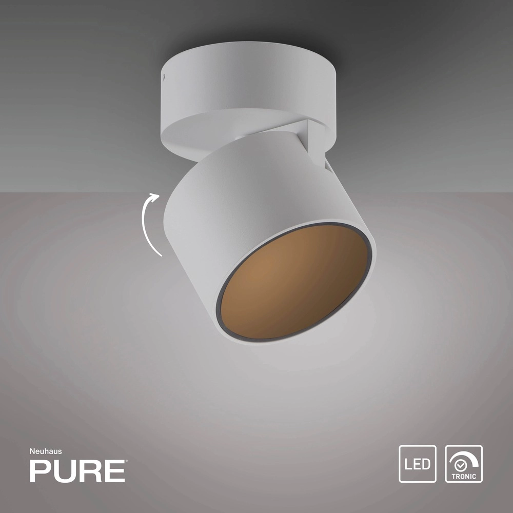 Sleek surface-mounted spot Pure Cup snow white Paul Neuhaus 4012248395578