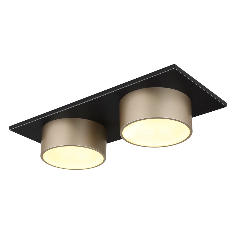 2-light ceiling lamp Raymond black with champagne
