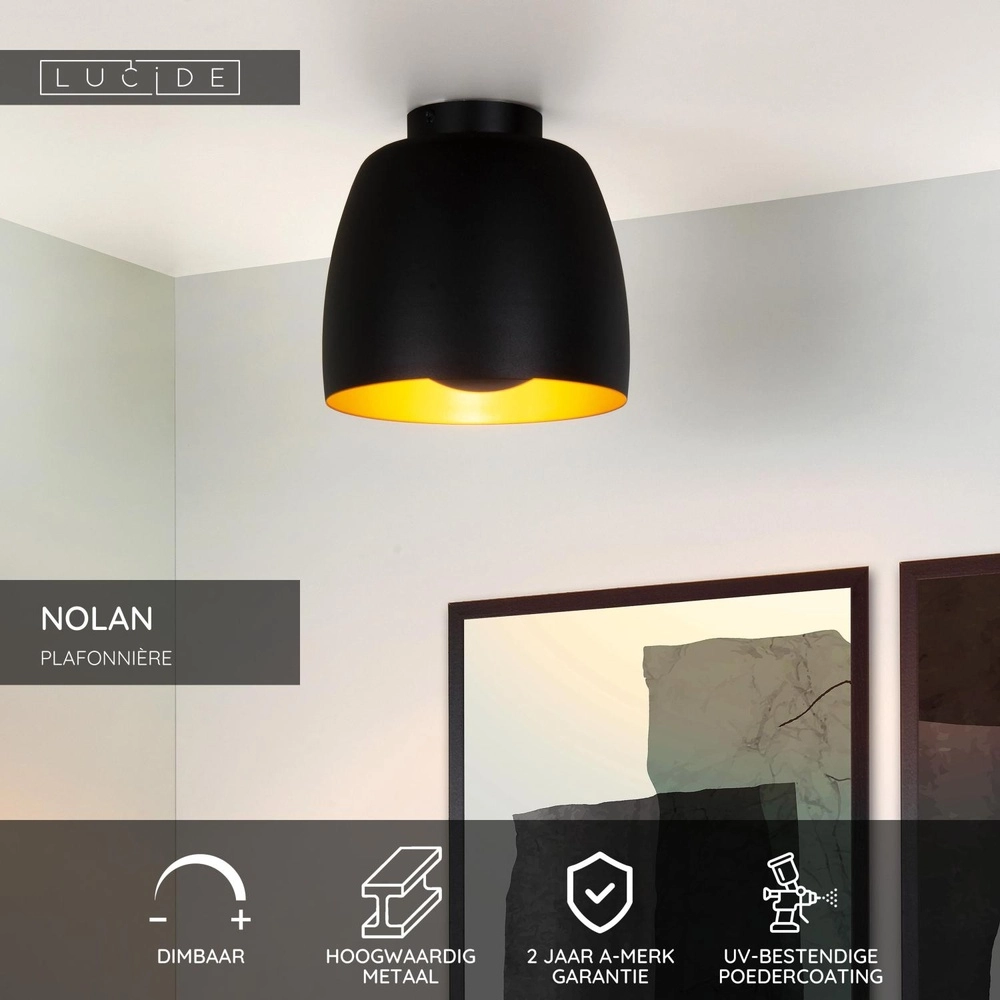 Ceiling lamp Nolan Ø 24cm black Lucide 5411212302854