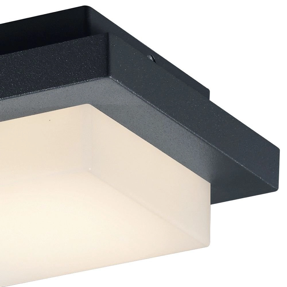 LED porch light Hondo 14cm anthracite Trio 4017807259131