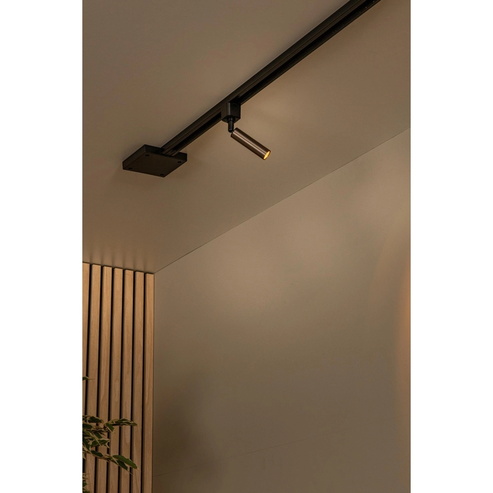 Rail spot Track Keoni 1-phase coffee brown Lucide 5411212094155
