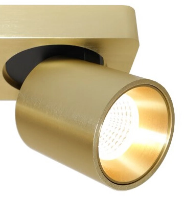 LED surface mounted spot Laguna 2-light gold Artdelight 8719831735341