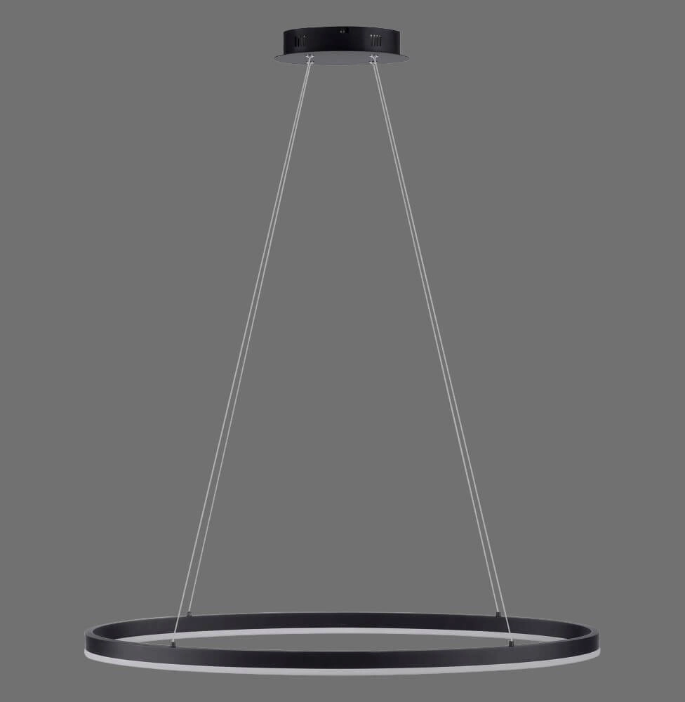 Anthracite pendant lamp Titus Ø 80cm Paul Neuhaus 4012248375211