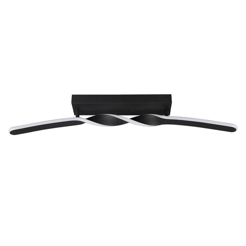 Design ceiling lamp Ginko black Trio 4017807642520