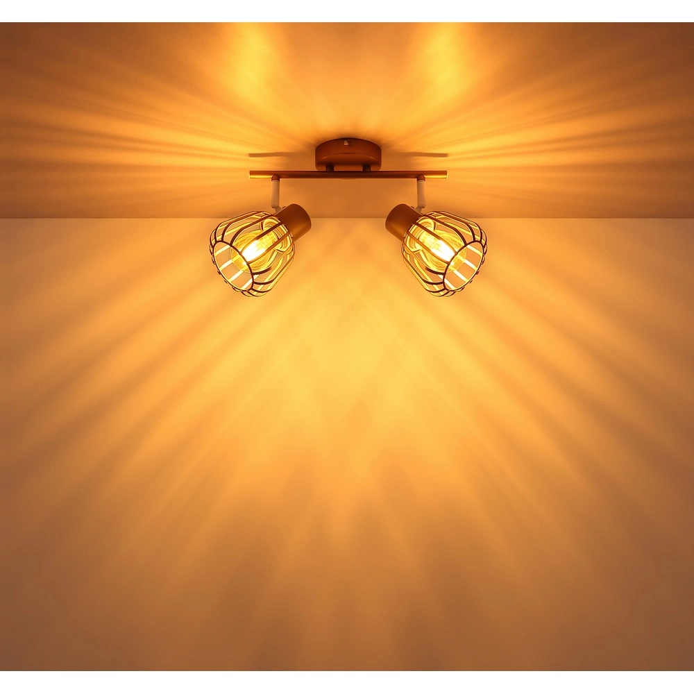 Ceiling lamp Olin 2-light coffee brown Globo 9007371586578