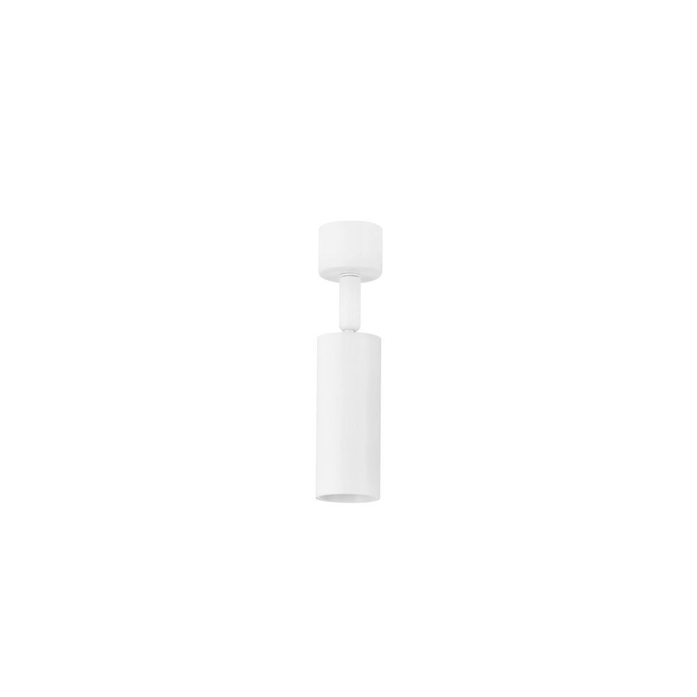 Ceiling spotlight Mor Orientable white Lyora 5212017475688