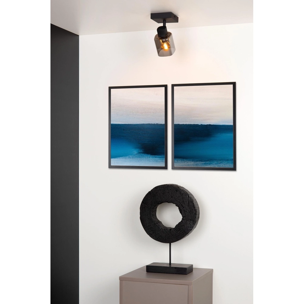 Ceiling lamp Alion Single black with smoke glass Lucide 5411212176981
