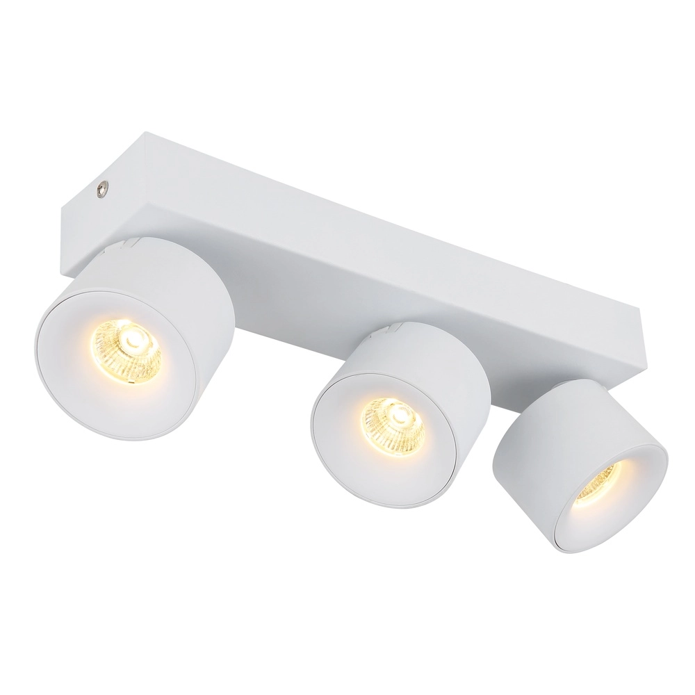 Sleek ceiling lamp Rae 3-light white