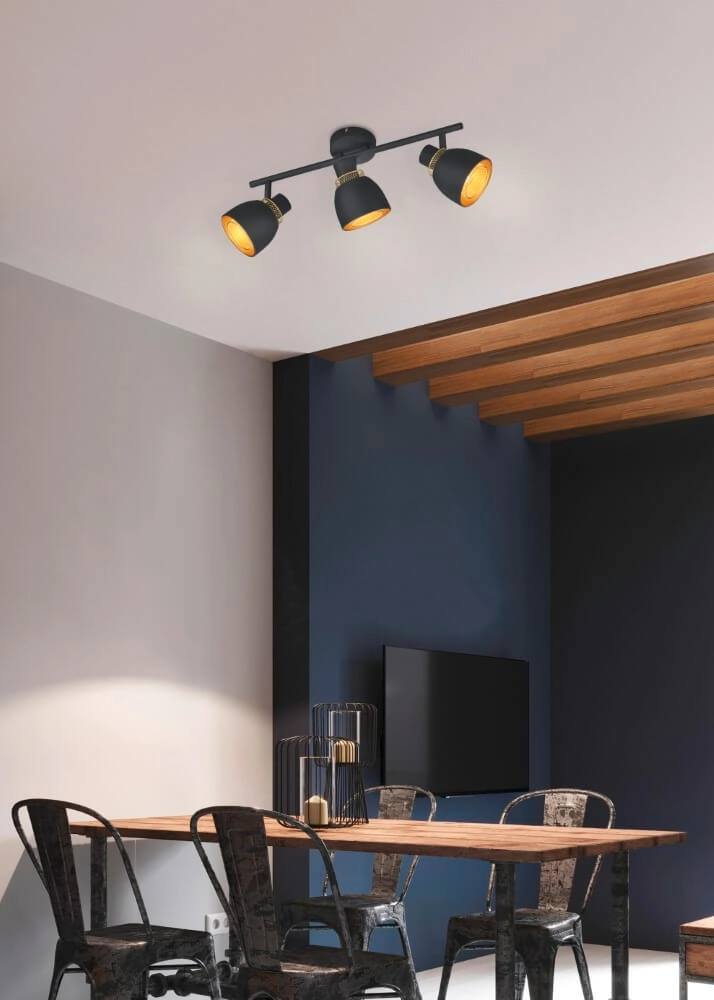 Black ceiling lamp Punch 3-light Trio 4017807567410