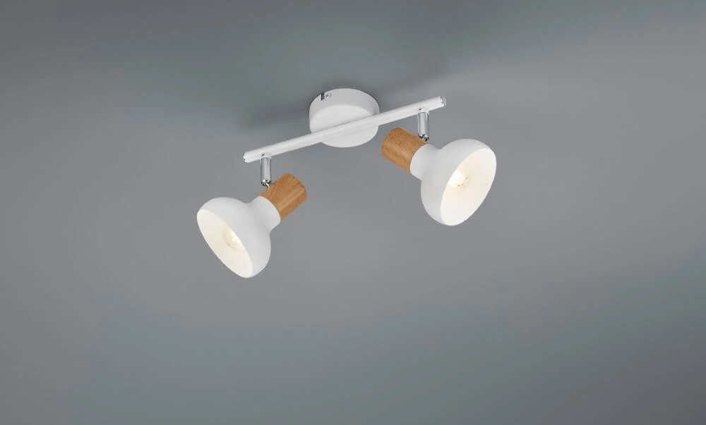 Ceiling lamp Latika 2-light white Trio 4017807577020