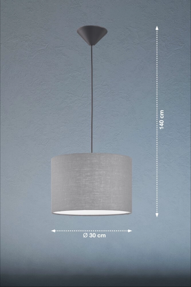 Hanging lamp Vigo gray hood Fischer & Honsel 4003694608077