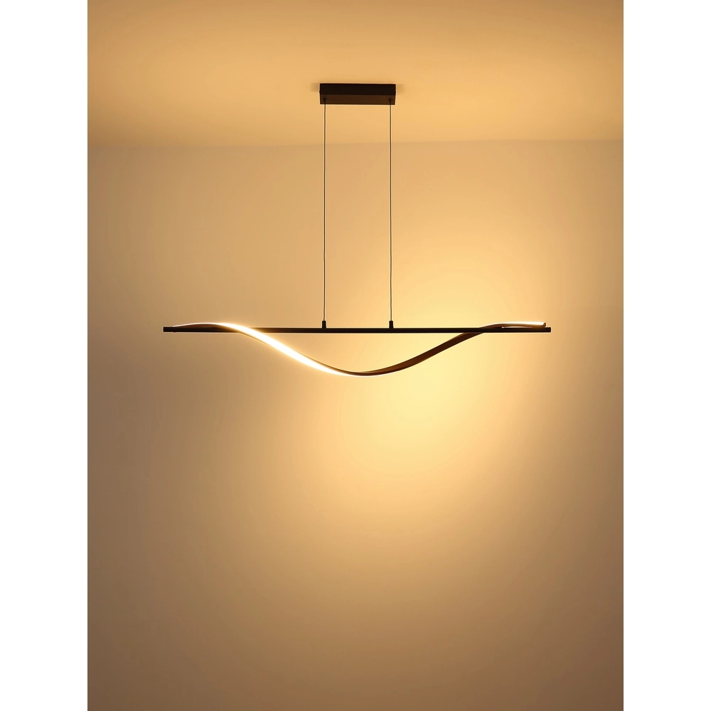 Design pendant lamp Watkins Black Globo 9007371533749