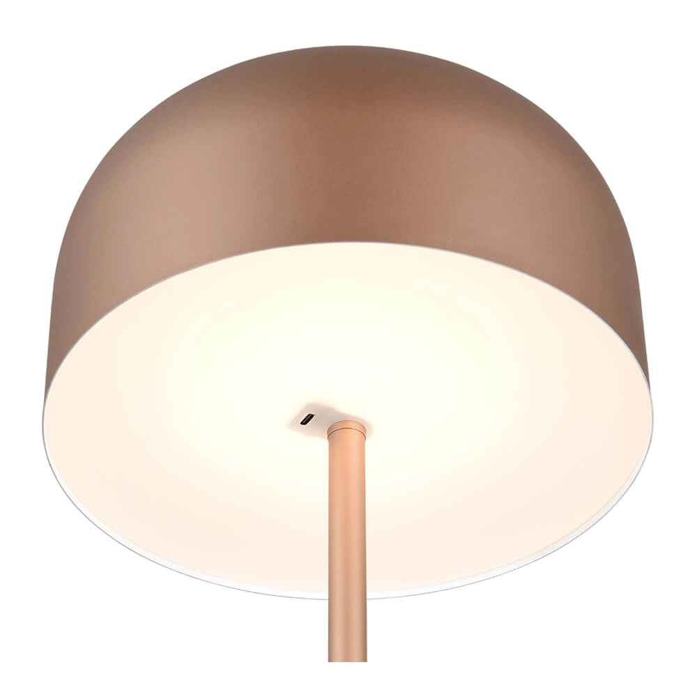 Rechargeable floor lamp Jeff coffee brown Trio 4017807640915