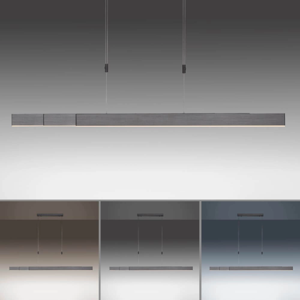 LED hanging lamp Pure-Moto brushed anthracite Paul Neuhaus 4012248363751