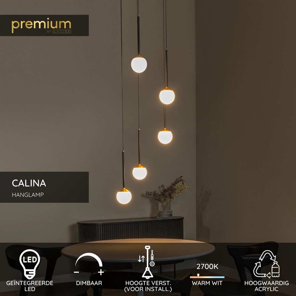 Vide pendant lamp Calina 5-light with white spheres Premium by Lucide 5411212241979
