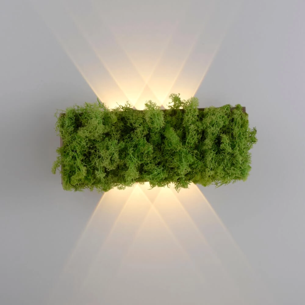 Rectangular ceiling lamp Green Carlo with moss Just Light 4043689994853