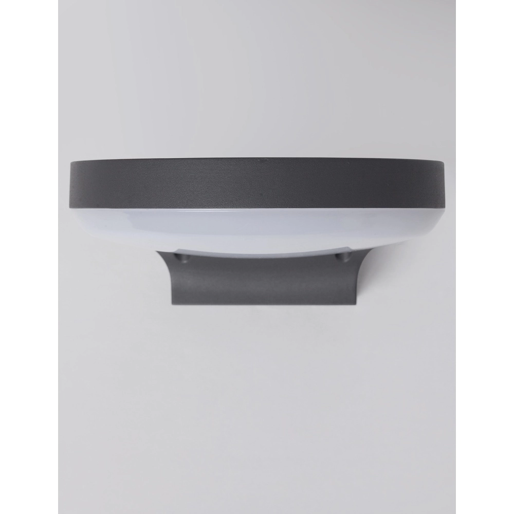 Sleek wall lamp Enzi anthracite Lyora 5212017429063