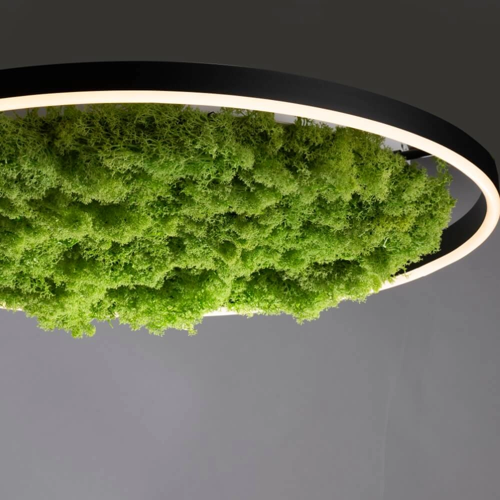 Ceiling lamp Green Ritus with moss Ø 58,5cm Just Light 4043689994808