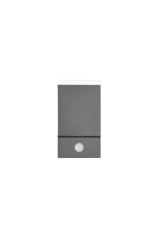 LED wall lamp Avon with motion sensor Trio 4017807529135
