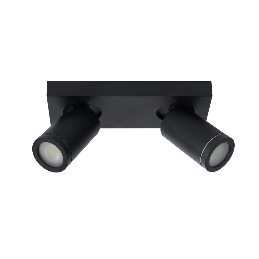 Ceiling spotlight Taylor IP44 2-light black